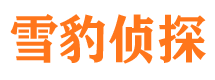 安阳市私人调查